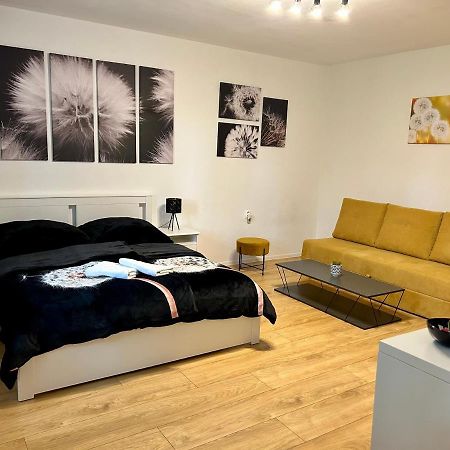 Studio Apartment Dandelion ブラチスラヴァ エクステリア 写真