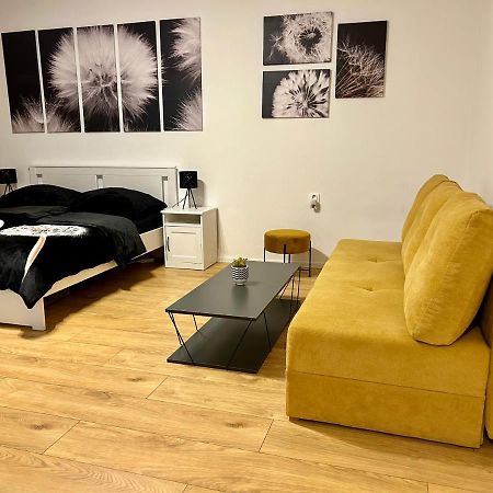 Studio Apartment Dandelion ブラチスラヴァ エクステリア 写真